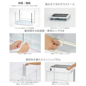 爬虫類ケージ 三晃商会 パンテオンカノン ホワ...の詳細画像3