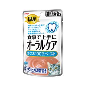 アイシア 国産 健康缶パウチ オーラルケア かつお100％ペースト 40g 12袋入り