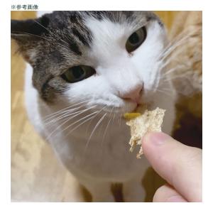 ペティオ 素材そのまま ねこちゃんの 無添加極...の詳細画像3