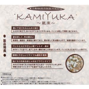 シーズイシハラ クリーンモフ 小動物用床材 K...の詳細画像2