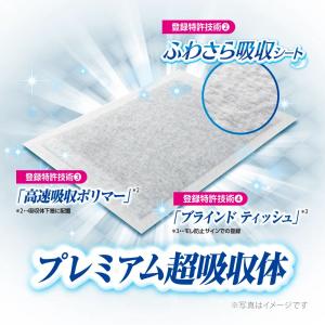 ペットシーツ デオシートPremium 12時...の詳細画像3