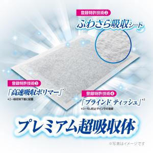 ペットシーツ デオシートPremium 12時...の詳細画像3