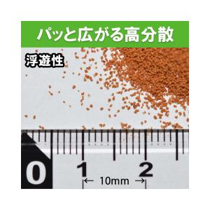 日本動物薬品 ニチドウ メディメダカ IGA ...の詳細画像4