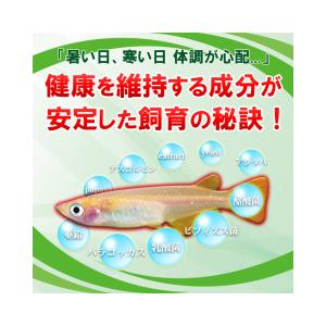 日本動物薬品 ニチドウ メディメダカ IGA ...の詳細画像5