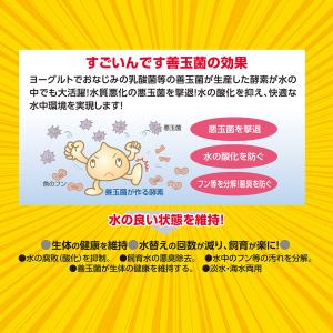 コトブキ工芸 すごいんです 善玉菌 480mlの詳細画像1