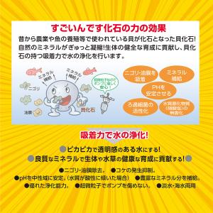 コトブキ工芸 すごいんです 化石の力 480mlの詳細画像1