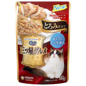 銀のスプーン 銀のスプーン 三ツ星グルメ パウチ とろみ仕立て まぐろ
