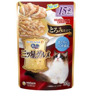 銀のスプーン 銀のスプーン 三ツ星グルメ パウチ とろみ仕立て まぐろ