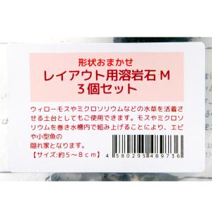 形状お任せ レイアウト用溶岩石 Mサイズ 3個セットの詳細画像3