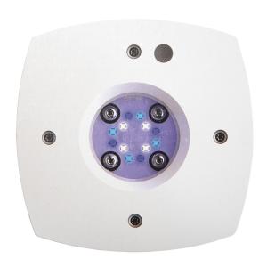 AI PRIME HD LED水槽照明　タンクマウントセット AI（アクアリウム用品） AI PRIME（プライム） Tank