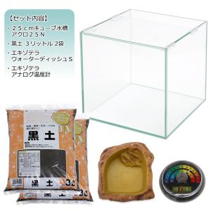 はじめてのアメフクラガエル 飼育セット お一人...の詳細画像1