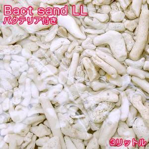 (海水魚)ばくとサンド(立上げ簡単サンド)L 3...の商品画像