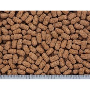 キョーリン カメプロス ヘルスケア 560g×...の詳細画像2