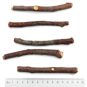 国産 小型犬用 りんごのかじり木 中枝 5本入...の詳細画像2