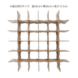 ピクタ バグハウス 3組分30枚入り コオロギ...の詳細画像3
