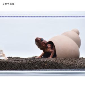 バイオキミア DIO SOIL ディオソイル ...の詳細画像3