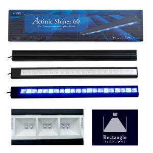 volxjapan（ボルクスジャパン） Grassy Legna Marine