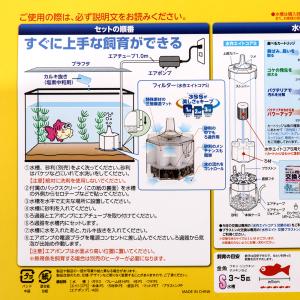 水作 水槽セット NEW きんぎょファミリー ...の詳細画像2