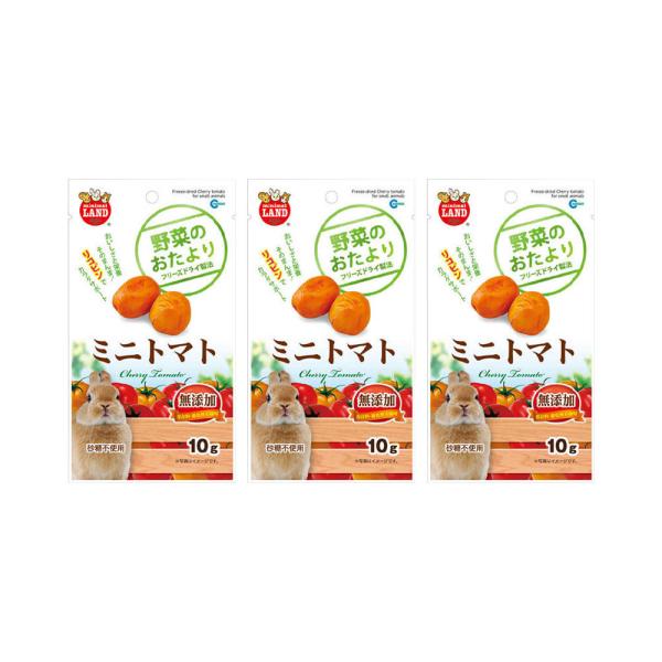 マルカン　野菜のおたより　ミニトマト　１０ｇ×３　小動物　おやつ