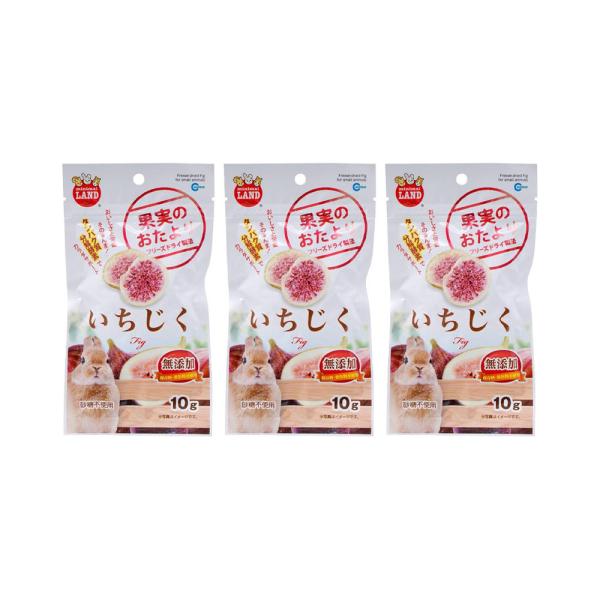 マルカン　果実のおたより　いちじく　１０ｇ×３