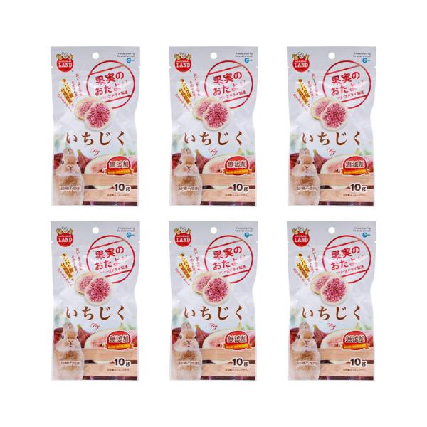 マルカン　果実のおたより　いちじく　１０ｇ×６