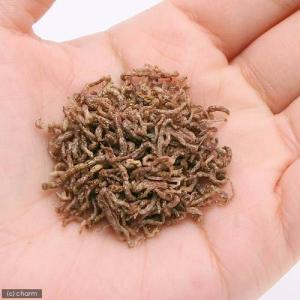 コメット アカムシ 12g 金魚のえさ×2個 ...の詳細画像1