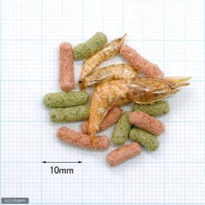 コメット カメサクッ! 超徳用 300g×2袋の詳細画像1