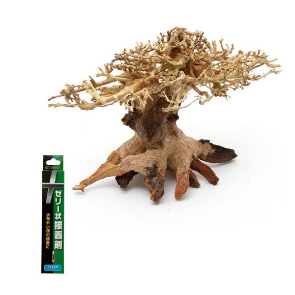 カミハタ　水景ＢＯＮＳＡＩ　榕樹（ガジュマル）Ｓ＆ゼリー状接着剤　５ｇ　クリア　流木　活着　レイアウ...