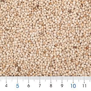 クオリス えごま 100gの詳細画像1