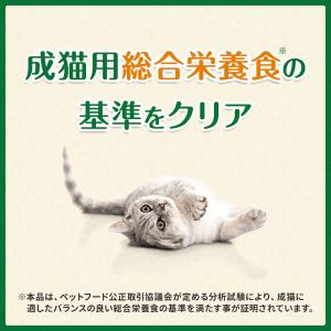 グリニーズ 猫 130g 5種セット 歯みがき...の詳細画像4
