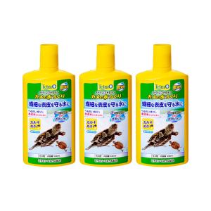 テトラ　レプトセイフ　カメの水つくり　５００ｍｌ×３個｜チャーム charm ヤフー店