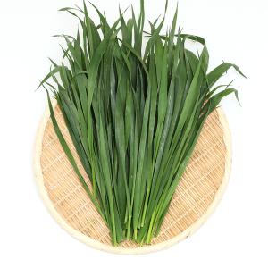 Leaf Corp 令和8年産 国産牧草 やみつきイタリアンライグラス