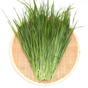 Leaf Corp 令和7年産 国産牧草 やみつきイタリアンライグラス