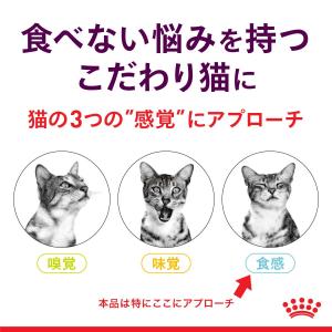 ロイヤルカナン 猫 センサリーフィール食感にこ...の詳細画像2
