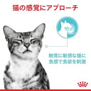 ロイヤルカナン 猫 センサリーフィール食感にこ...の詳細画像4