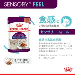 ロイヤルカナン 猫 センサリーフィール食感にこ...の詳細画像5