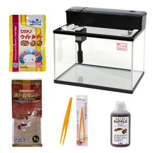 ウーパールーパー 飼育セットの商品一覧 通販 Yahoo ショッピング