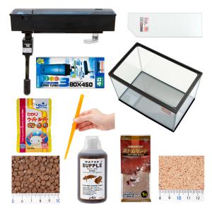 ウーパールーパー 飼育セットの商品一覧 通販 Yahoo ショッピング