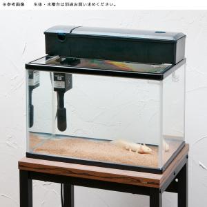 ウーパールーパー 飼育セットの商品一覧 通販 Yahoo ショッピング