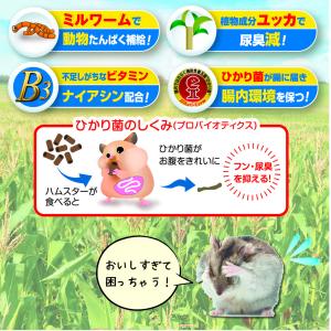 キョーリン ひかり ハムハム 100g ハムス...の詳細画像4