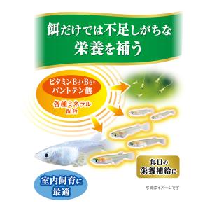GEX メダカ元気 育てる栄養ウォーター 30...の詳細画像1