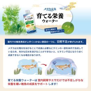 GEX メダカ元気 育てる栄養ウォーター 30...の詳細画像4