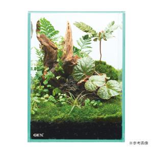GEX グラステリア フィット 150 plu...の詳細画像3