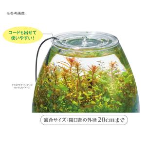 GEX グラストップラウンド グラスアクアリウ...の詳細画像2