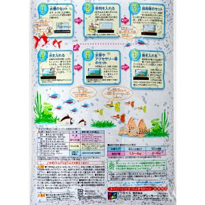シンセー 大磯 中目 6kg お一人様3点限りの詳細画像2