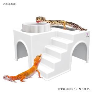 マルカン ジオハウス 爬虫類用ハウスの詳細画像3