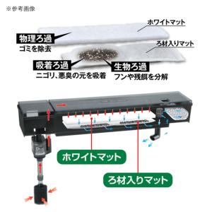 GEX デュアルマットパワー 2セット入りの詳細画像3