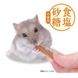 GEX ハムテイン チキンチュロス 20g 砂...の詳細画像4