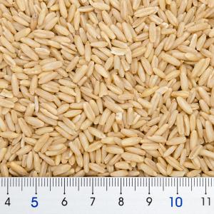 クオリス オーツ麦 皮むき 800g 鳥 フー...の詳細画像2