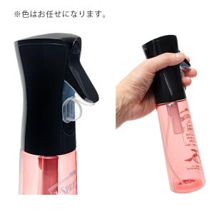 ジクラ ゼータスプレー 色おまかせの詳細画像1
